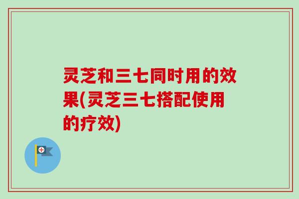 灵芝和三七同时用的效果(灵芝三七搭配使用的疗效) 灵芝和三七同时用的效果(灵芝三七搭配使用的疗效)