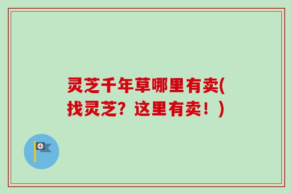 灵芝千年草哪里有卖(找灵芝?这里有卖!) 灵芝千年草哪里有卖(找灵芝?这里有卖!)