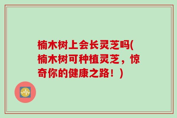 楠木树上会长灵芝吗(楠木树可种植灵芝，惊奇你的健康之路！)