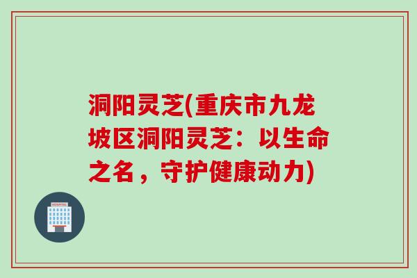 洞阳灵芝(重庆市九龙坡区洞阳灵芝：以生命之名，守护健康动力)