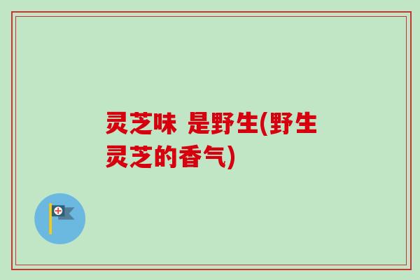灵芝味 是野生(野生灵芝的香气)