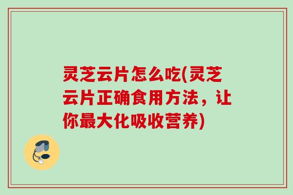 灵芝云片怎么吃(灵芝云片正确食用方法,让你大化吸收营养) 灵芝云片怎么吃(灵芝云片正确食用方法,让你大化吸收营养)