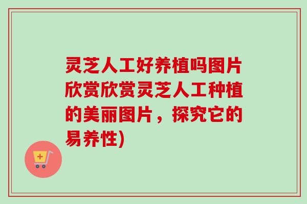 灵芝人工好养植吗图片欣赏欣赏灵芝人工种植的美丽图片，探究它的易养性)
