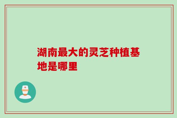 湖南最大的灵芝种植基地是哪里