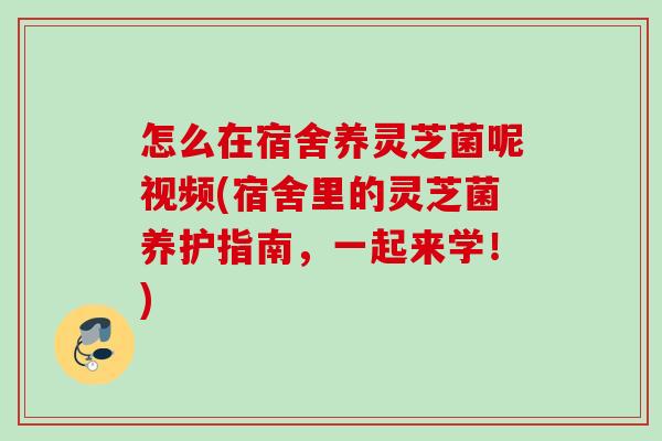怎么在宿舍养灵芝菌呢视频(宿舍里的灵芝菌养护指南，一起来学！)