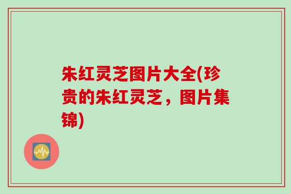 朱红灵芝图片大全(珍贵的朱红灵芝，图片集锦)
