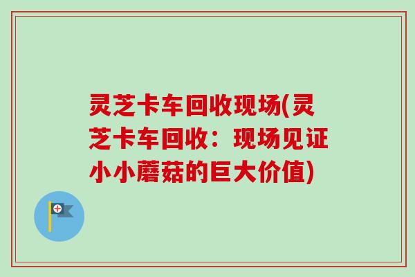 灵芝卡车回收现场(灵芝卡车回收：现场见证小小蘑菇的巨大价值)