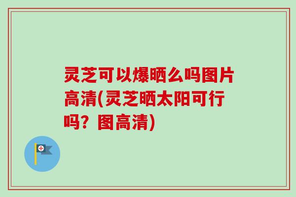 灵芝可以爆晒么吗图片高清(灵芝晒太阳可行吗?图高清) 灵芝可以爆晒么吗图片高清(灵芝晒太阳可行吗?图高清)