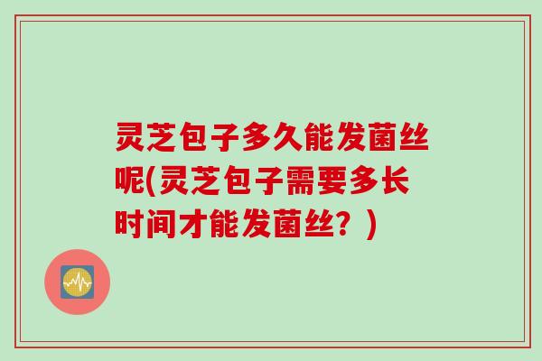 灵芝包子多久能发菌丝呢(灵芝包子需要多长时间才能发菌丝？)