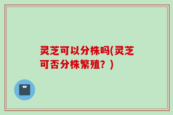 灵芝可以分株吗(灵芝可否分株繁殖？)