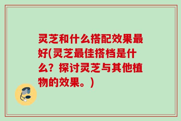 灵芝和什么搭配效果好(灵芝佳搭档是什么?探讨灵芝与其他植物的效果。) 灵芝和什么搭配效果好(灵芝佳搭档是什么?探讨灵芝与其他植物的效果。)
