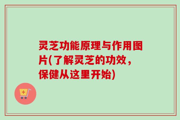 灵芝功能原理与作用图片(了解灵芝的功效,保健从这里开始) 灵芝功能原理与作用图片(了解灵芝的功效,保健从这里开始)