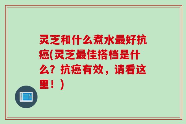 灵芝和什么煮水好抗(灵芝佳搭档是什么?抗有效,请看这里!) 灵芝和什么煮水好抗(灵芝佳搭档是什么?抗有效,请看这里!)