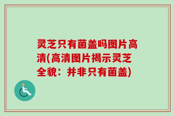 灵芝只有菌盖吗图片高清(高清图片揭示灵芝全貌：并非只有菌盖)
