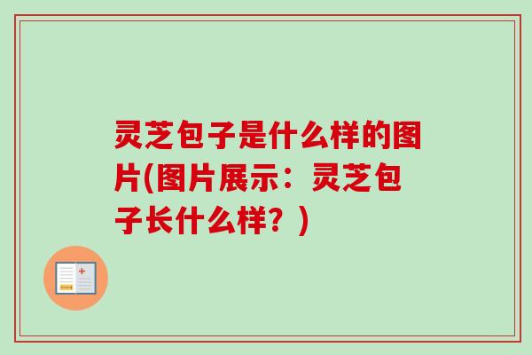 灵芝包子是什么样的图片(图片展示：灵芝包子长什么样？)