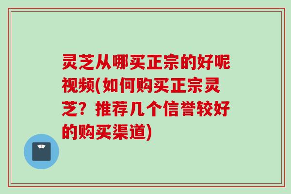 灵芝从哪买正宗的好呢视频(如何购买正宗灵芝？推荐几个信誉较好的购买渠道)