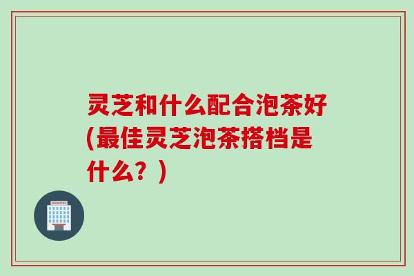 灵芝和什么配合泡茶好(最佳灵芝泡茶搭档是什么？)