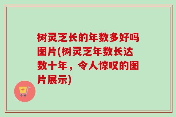 树灵芝长的年数多好吗图片(树灵芝年数长达数十年，令人惊叹的图片展示)