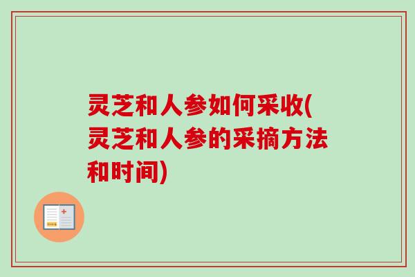 灵芝和人参如何采收(灵芝和人参的采摘方法和时间)