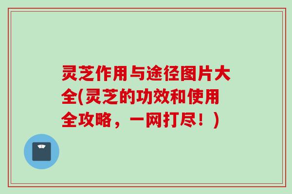 灵芝作用与途径图片大全(灵芝的功效和使用全攻略，一网打尽！)