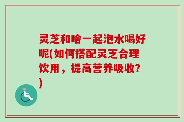 灵芝和啥一起泡水喝好呢(如何搭配灵芝合理饮用，提高营养吸收？)