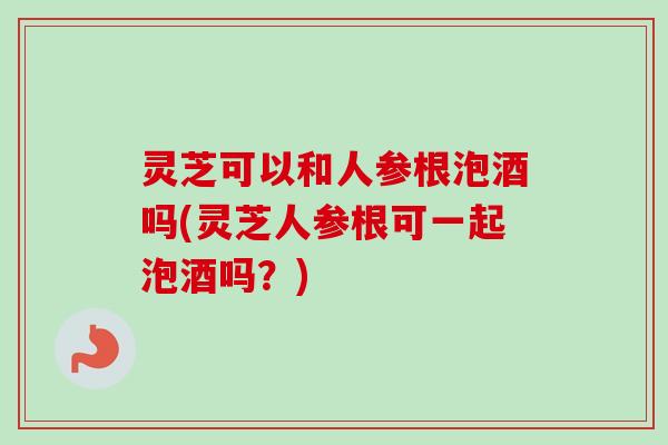 灵芝可以和人参根泡酒吗(灵芝人参根可一起泡酒吗？)