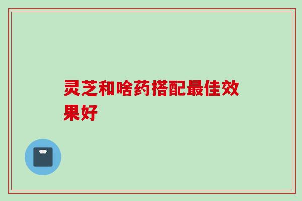 灵芝和啥药搭配最佳效果好