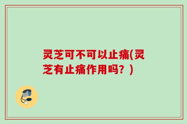 灵芝可不可以止痛(灵芝有止痛作用吗？)