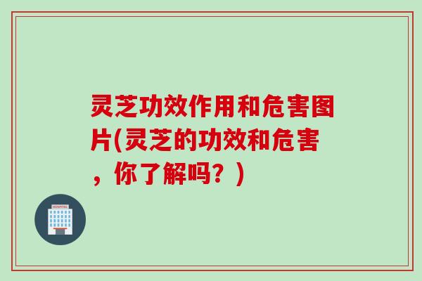 灵芝功效作用和危害图片(灵芝的功效和危害，你了解吗？)
