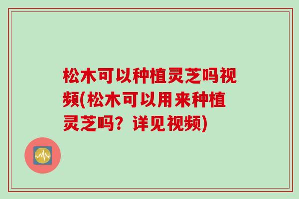 松木可以种植灵芝吗视频(松木可以用来种植灵芝吗？详见视频)