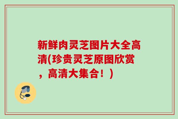 新鲜肉灵芝图片大全高清(珍贵灵芝原图欣赏，高清大集合！)