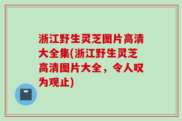 浙江野生灵芝图片高清大全集(浙江野生灵芝高清图片大全，令人叹为观止)