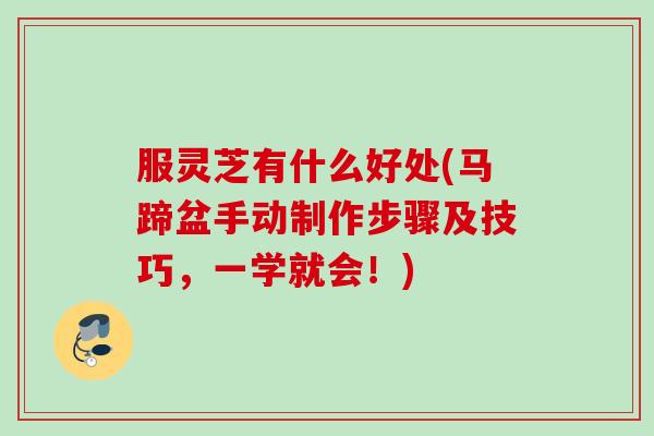 服灵芝有什么好处(马蹄盆手动制作步骤及技巧，一学就会！)