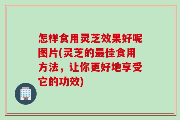 怎样食用灵芝效果好呢图片(灵芝的最佳食用方法，让你更好地享受它的功效)