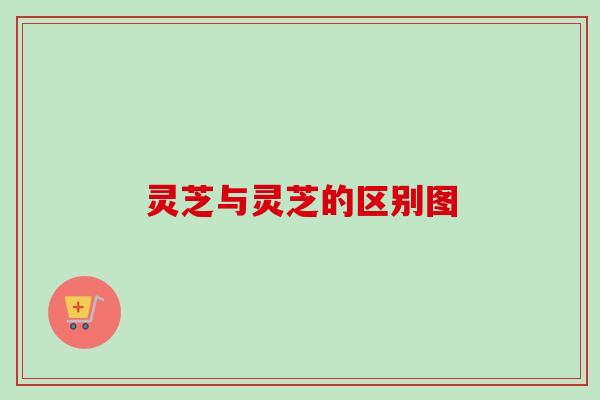 灵芝与灵芝的区别图 灵芝与灵芝的区别图
