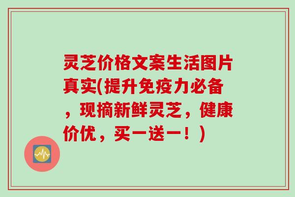 灵芝价格文案生活图片真实(提升免疫力必备，现摘新鲜灵芝，健康价优，买一送一！)