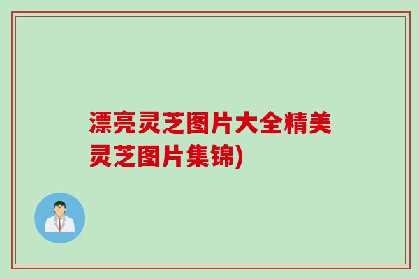 漂亮灵芝图片大全精美灵芝图片集锦)