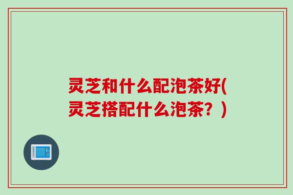 灵芝和什么配泡茶好(灵芝搭配什么泡茶？)