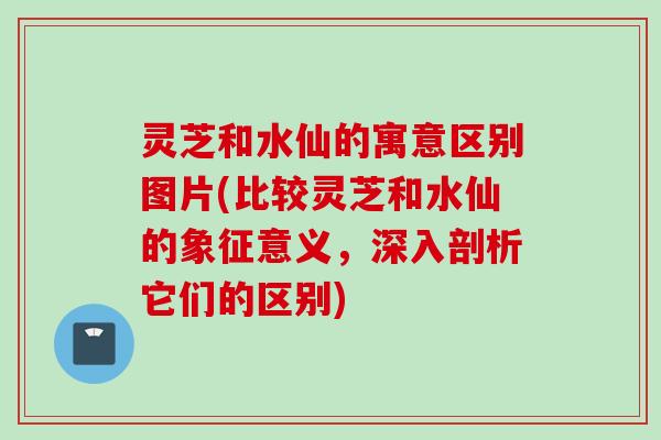 灵芝和水仙的寓意区别图片(比较灵芝和水仙的象征意义，深入剖析它们的区别)