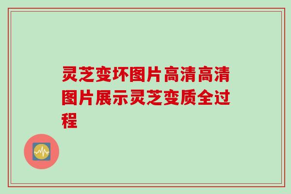 灵芝变坏图片高清高清图片展示灵芝变质全过程