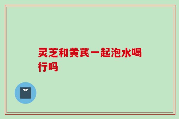 灵芝和黄芪一起泡水喝行吗