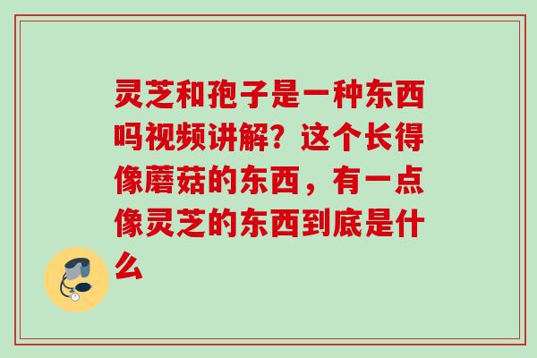 灵芝和孢子是一种东西吗视频讲解？这个长得像蘑菇的东西，有一点像灵芝的东西到底是什么