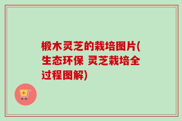 椴木灵芝的栽培图片(生态环保 灵芝栽培全过程图解)
