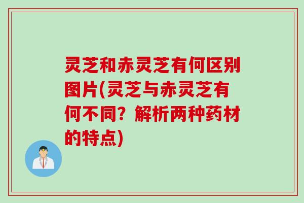 灵芝和赤灵芝有何区别图片(灵芝与赤灵芝有何不同？解析两种药材的特点)