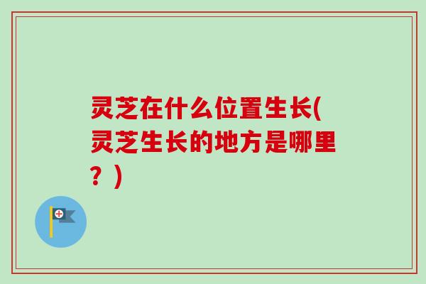 灵芝在什么位置生长(灵芝生长的地方是哪里？)