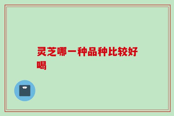 灵芝哪一种品种比较好喝