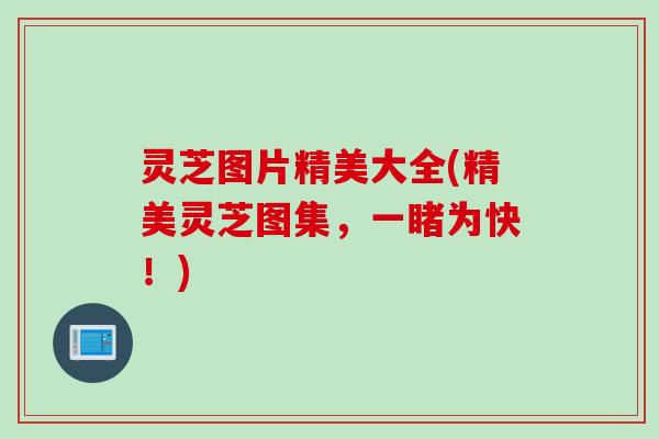 灵芝图片精美大全(精美灵芝图集,一睹为快!) 灵芝图片精美大全(精美灵芝图集,一睹为快!)