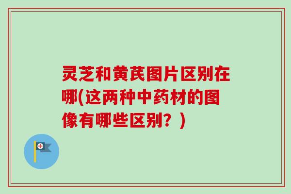 灵芝和黄芪图片区别在哪(这两种中药材的图像有哪些区别？)