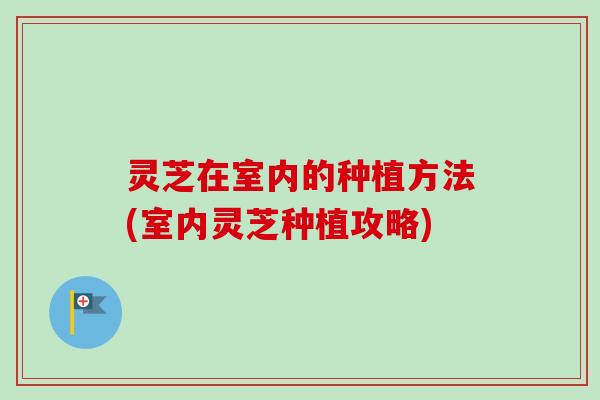 灵芝在室内的种植方法(室内灵芝种植攻略)