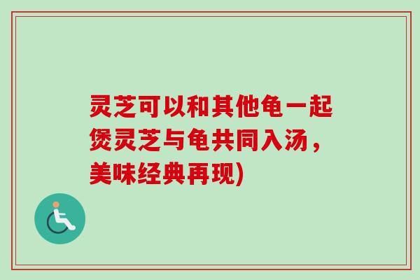 灵芝可以和其他龟一起煲灵芝与龟共同入汤，美味经典再现)